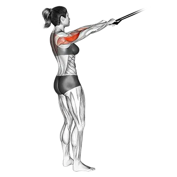 Best Upper Back Exercises Band Face Pull