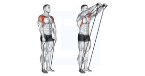 Cable Front Raise - Guide, Benefits, and Form