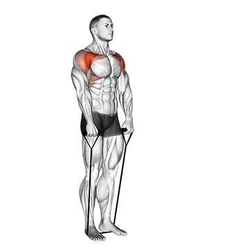Best Front Delt Exercises Band Front Raise