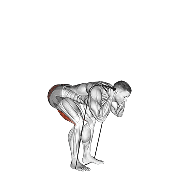 Best Resistance Band Hamstring Workouts Band Good Morning