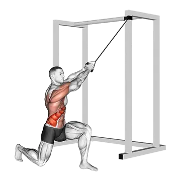 Best Resistance Band Oblique Workouts Band Half Kneeling Chop