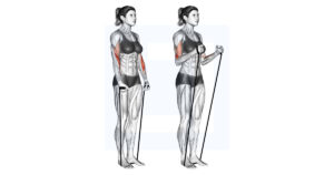 Dumbbell Cross Body Hammer Curl - Guide, Benefits, and Form