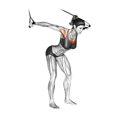 Best Resistance Band Chest Workouts Band High Fly