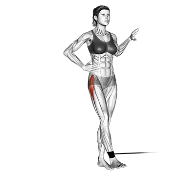 Best Gluteus Medius Exercises Band Hip Abduction