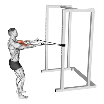 Band Horizontal Biceps Curl