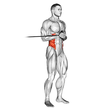 Best Resistance Band Core Workouts Band Horizontal Pallof Press