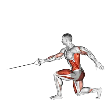 Best Resistance Band Quad Workouts Band Jump Lunge With Single Arm Row