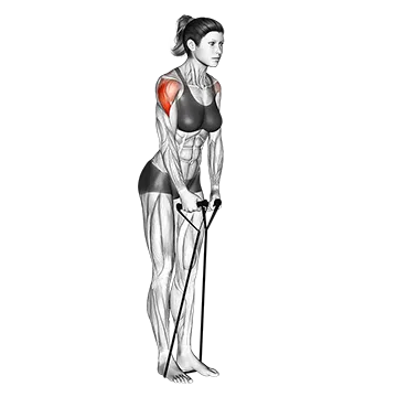 Best Resistance Band Workouts Band Lateral Raise