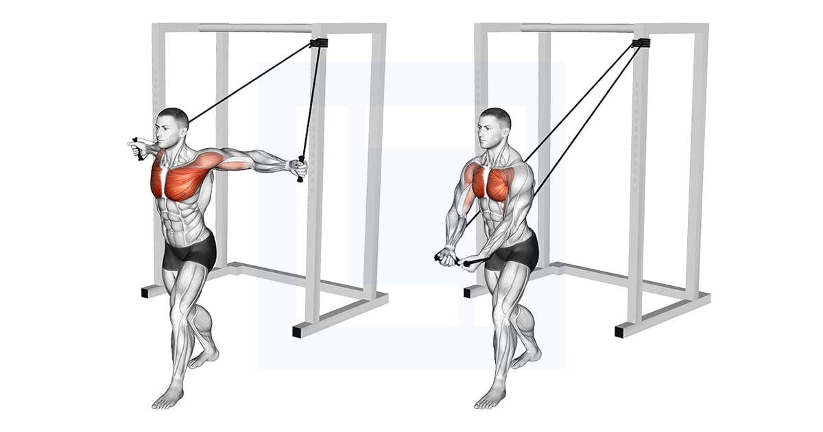 Band Low Chest Fly