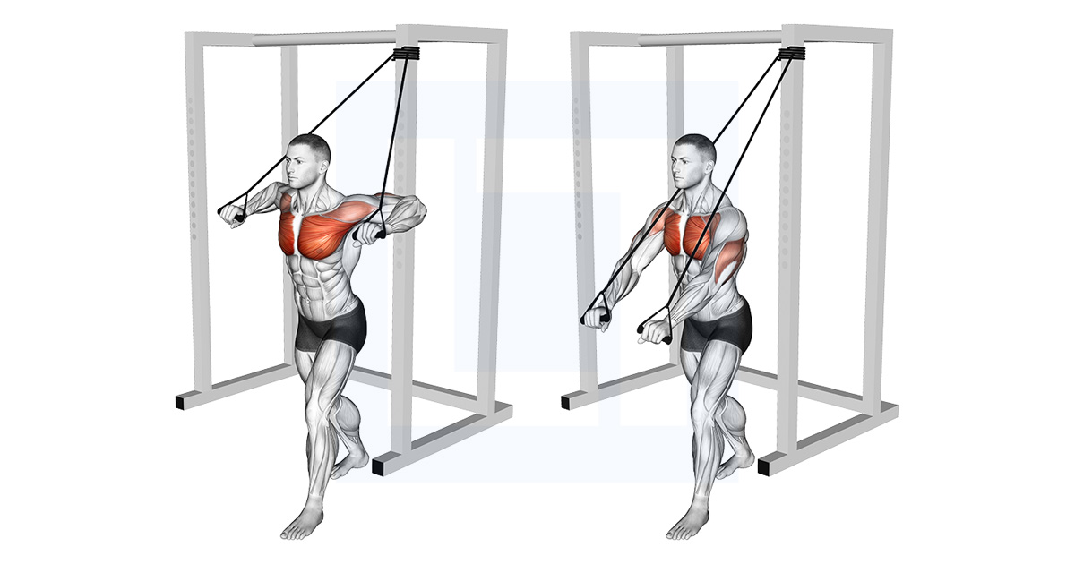 Band Low Chest Press