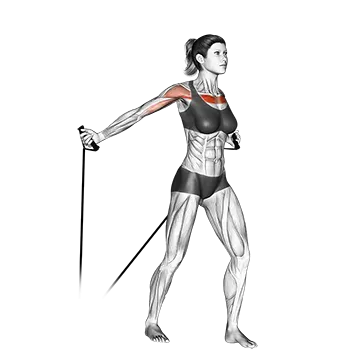 Best Resistance Band Chest Workouts Band Low Fly