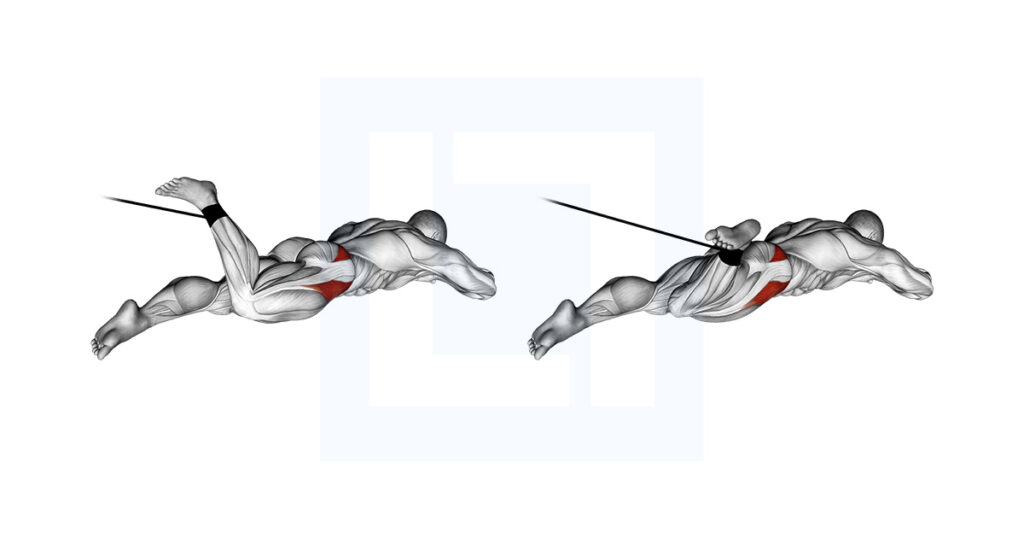 Band Lying Hip Internal Rotation Exercise Guide