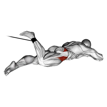 Band Lying Hip Internal Rotatio