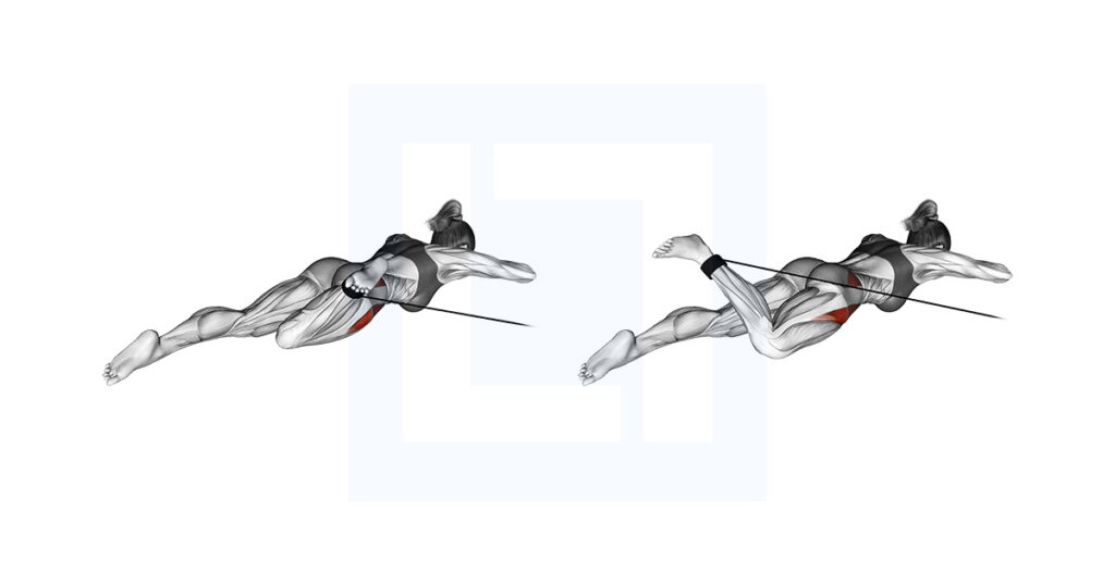 Band Lying Hip Internal Rotation Exercise Guide