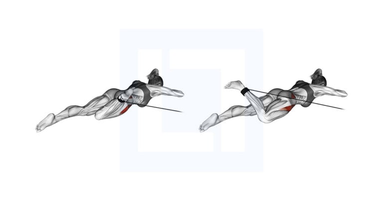Band Lying Hip Internal Rotation Exercise Guide