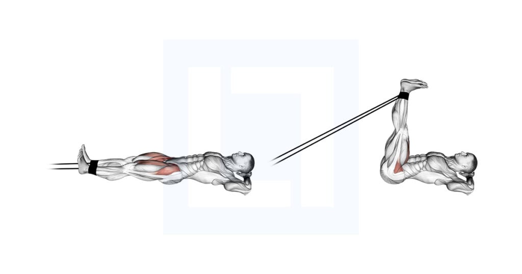 Band Lying Straight Leg Raise