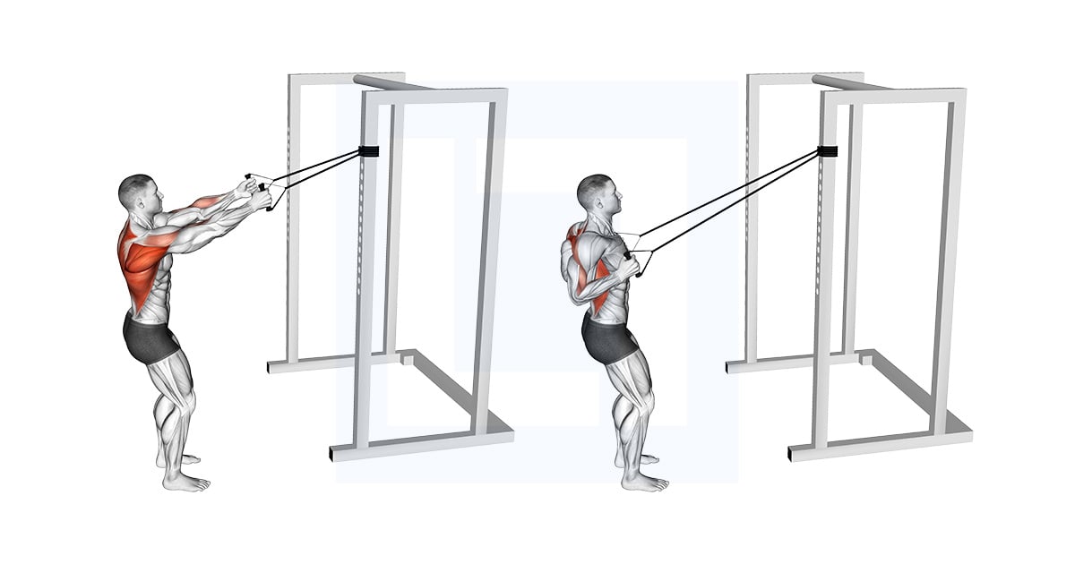 Band Narrow Grip High Row