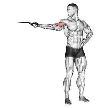 Best Resistance Band Arm Workouts Band One Arm Overhead Biceps Curl
