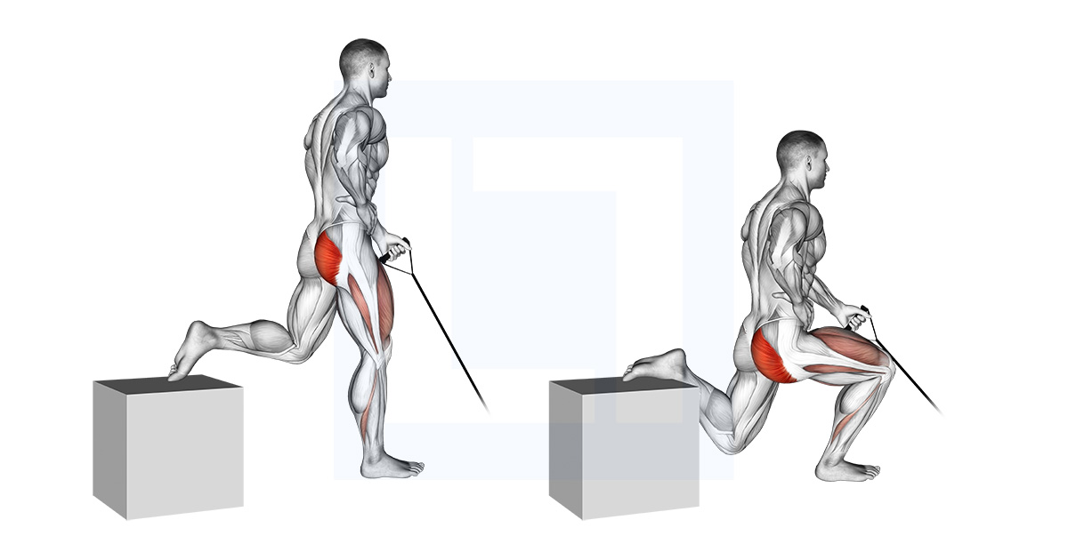 Band One Arm Single Leg Split Squat