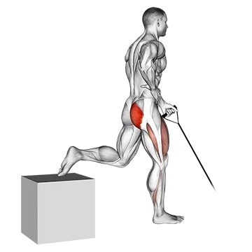 Band One Arm Single Leg Split Squat