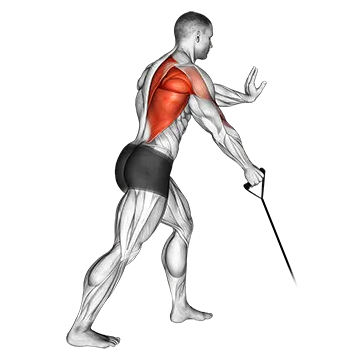 Best Resistance Band Lat Workouts Band One Arm Standing Low Row