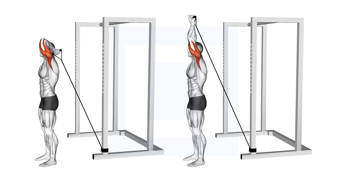 Band Overhead Single Arm Triceps Extension