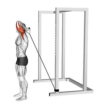 Band Overhead Single Arm Triceps Extension