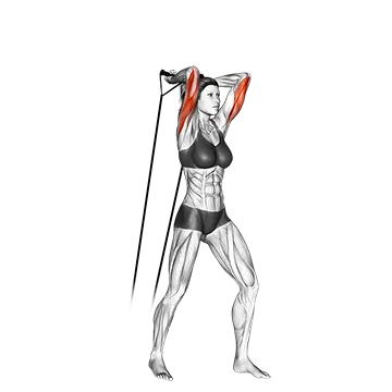 Best Resistance Band Tricep Workouts Band Overhead Triceps Extension