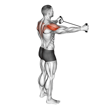 Best Upper Back Exercises Band Pull Apart