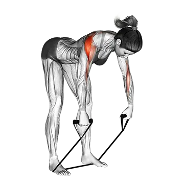 Best Resistance Band Shoulder Workouts Band Rear Delt Row