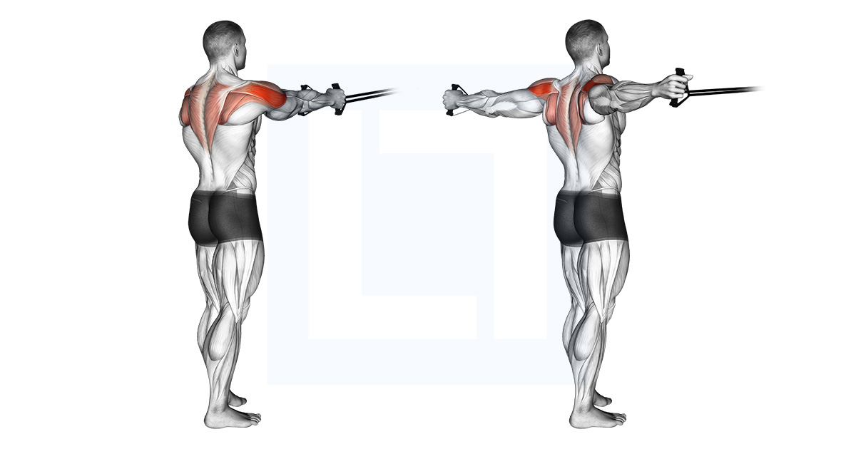 Reverse Chest Stretch Behind Back Hand Clasp Opener