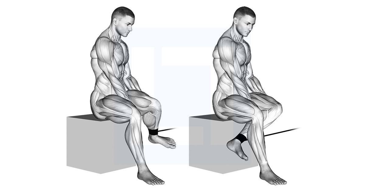 Band Seated Hip External Rotation