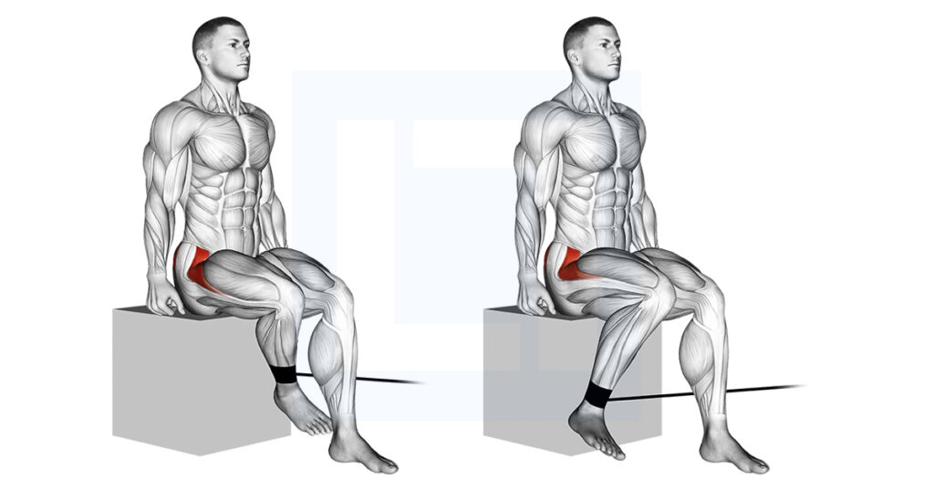 Band Seated Hip Internal Rotation Exercise Guide