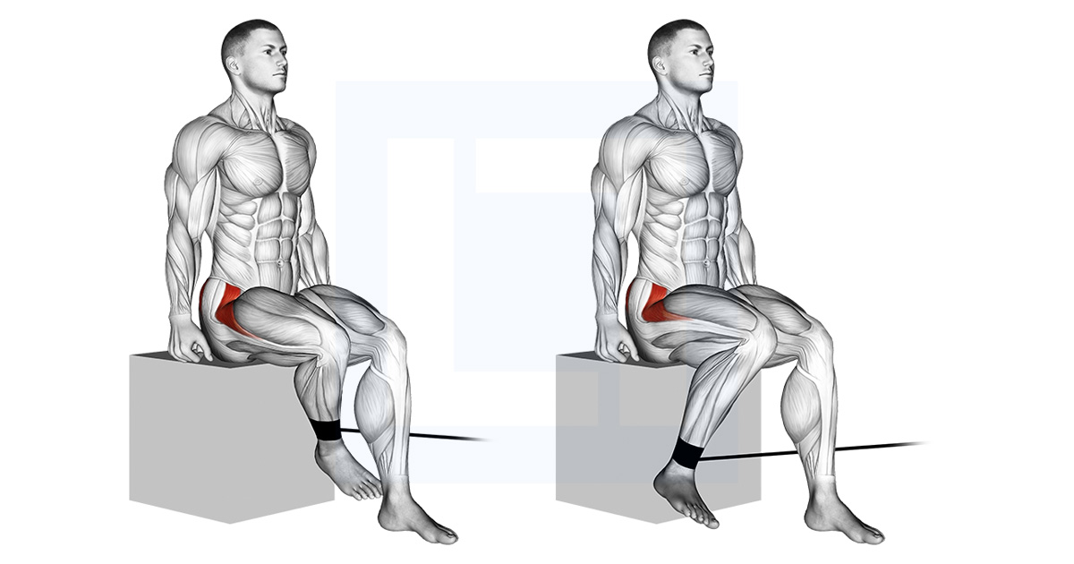 Band Seated Hip Internal Rotation