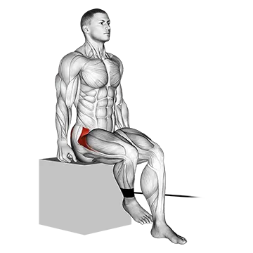 Band Seated Hip Internal Rotation