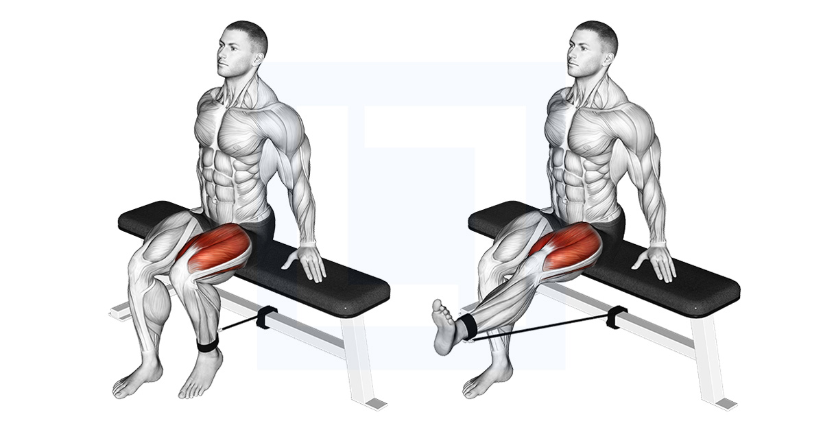 Band Seated Leg Extension