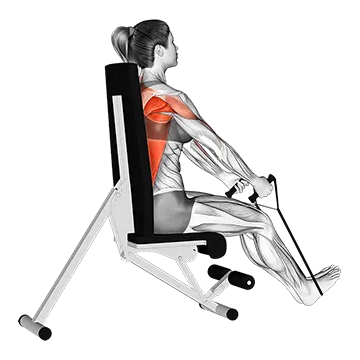 Best Resistance Band Back Workouts Band Seated Straight Back Row
