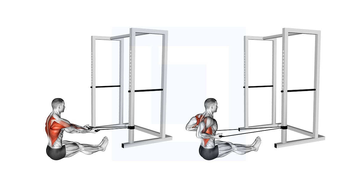 Band Seated Underhand Grip Row
