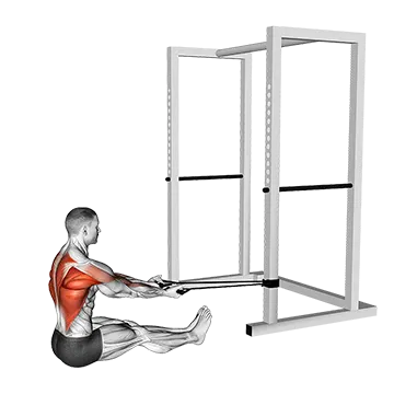 Band Seated Underhand Grip Row