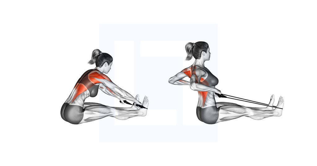 Wide Rows Bands Band Seated Wide Grip Row: Upper Back Builder