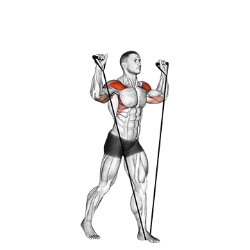 Best At Home Shoulder Workouts Band Shoulder Press