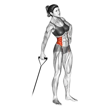 Best Resistance Band Oblique Workouts Band Side Bend