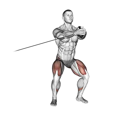Band Side Step With Horizontal Pallof Hold