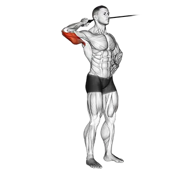 Best Resistance Band Tricep Workouts Band Side Triceps Extension