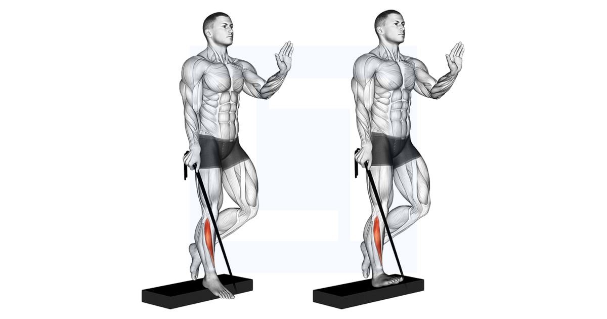 Band Single Leg Reverse Calf Raise