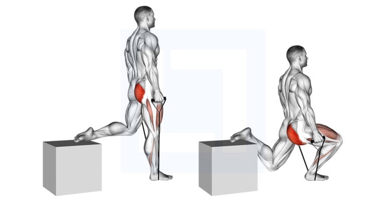 Band Single Leg Split Squat: Banded Split Squat