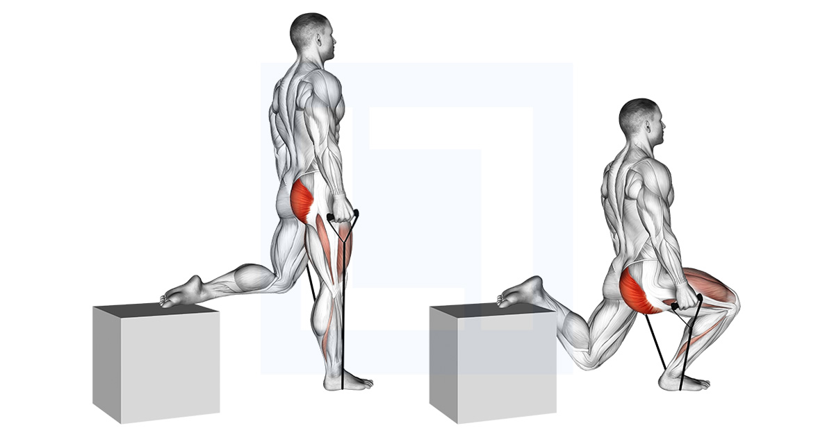 Band Single Leg Split Squat