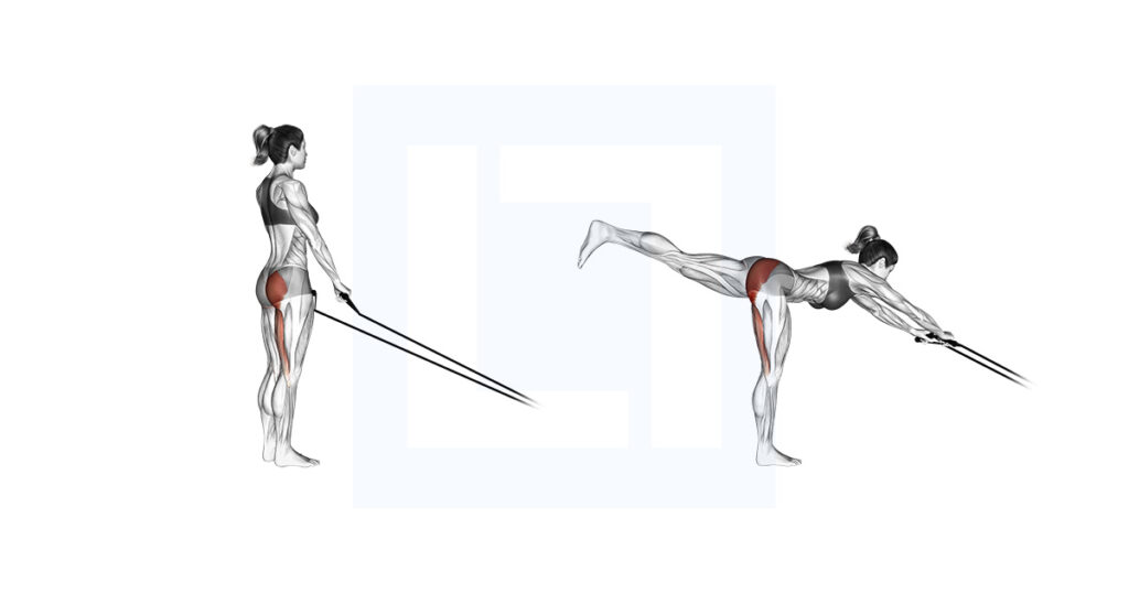 Band Single Stiff Leg Deadlift: Banded Single RDL