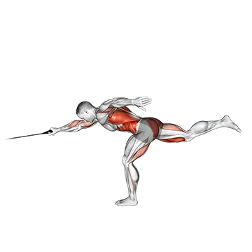 Band Single Stiff Leg Deadlift With Single Arm Row