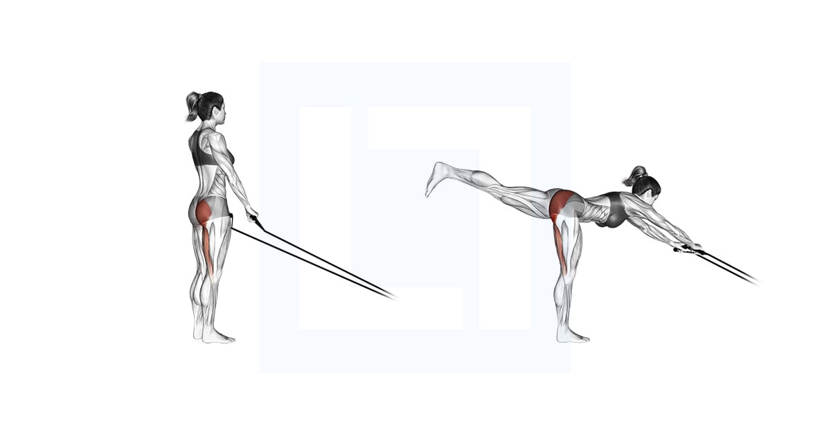 Band Single Stiff Leg Deadlift